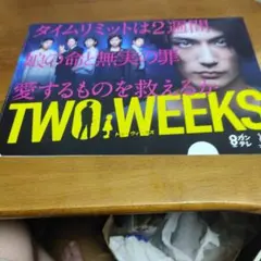 ドラマ「TWO WEEKS」クリアファイル_RM