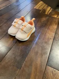 Item thumbnail for item c4183094-2f5e-466e-8f15-03094981660a