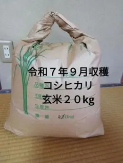 令和7年度　三重県産コシヒカリ　玄米20kg（10kg×2袋） みんなのごち福 – 10kg（玄米） コシヒカリ 三重県産 新米 令和7年産 米・雑穀・粉類