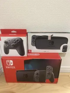 Nintendo Switch 本体 グレー プロコン+ケース付き