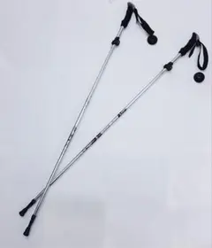 Item thumbnail for item 54f29c09-3623-414a-bc03-e39c4375f87a