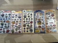 SUNSUN うるちゅる　ドロップシール