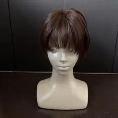 AQUADOLL 医療用ウィッグ　人毛MIX ショートボブのサムネイル