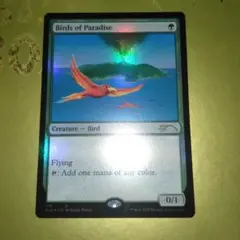 Birds of Paradise SLD Foil MTG