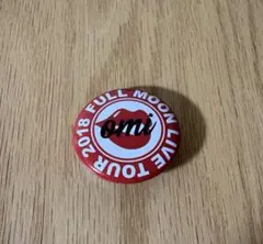 登坂広臣　缶バッチ