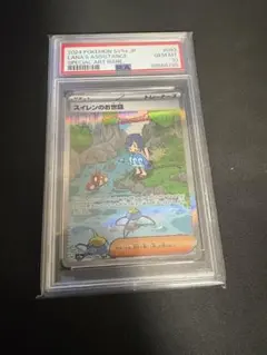 スイレンのお世話 SAR PSA10