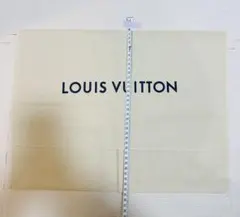 LOUIS VUITTON バッグ用収納袋 ベージュ