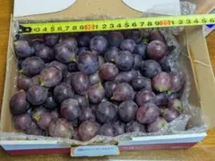 ぶどう　種無し巨峰　1Kgのサムネイル