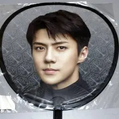 EXO planet#4 the Elyxion in Japanセフンうちわ