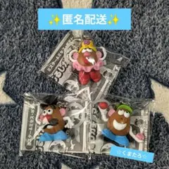 ミスター＆ミセス・ポテトヘッドAC めじるしアクセサリー　3種セット