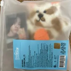 BOYNEXTDOOR ボネクド プネクド キーリング ソンホ ケッピ