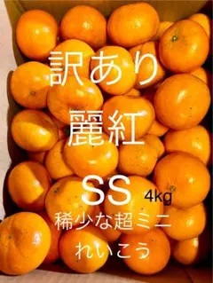 訳あり麗紅 SS 4kg 稀少な超ミニみかん せとか姉妹品 甘くて濃い味
