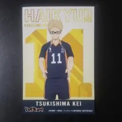 ハイキュー!! みんなの背番号! アニメイト ビジュアルカード 月島蛍