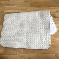 Item thumbnail for item 7556c3f1-9a1e-4832-9fa5-3aa70a8ec3f2