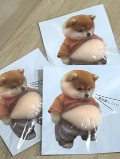 おなかぷにぷにシール セリフ付き 柴犬 3枚セット 3Dシール まとめ売り