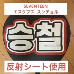 SEVENTEEN エスクプス  スンチョル   うちわ文字　反射シート