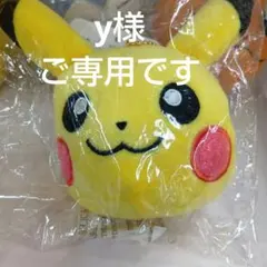 専用　ポケモン ピカチュウ ぬいぐるみ マスコット