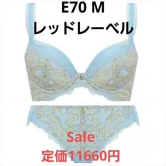 新品　トリンプ　ブラジャー　ショーツ　セット　E70