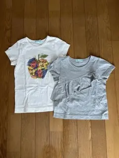 Item thumbnail for item c10a1812-16ef-4ba2-8c01-f1d1d0aea7b2