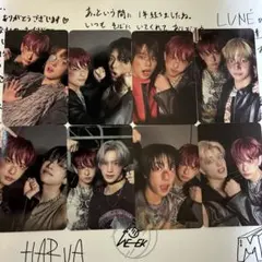 &TEAM Back to Life HARUA ユニットトレカ 8枚