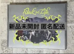 &team back to life breathe 新品未開封