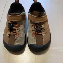 Item thumbnail for item 69fb365a-9038-41fd-a19a-fce2b9dab8ff