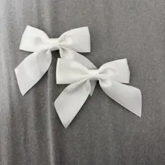 ホワイトリボンクリップ2個セット