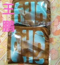 王鵬　1月場所　天覧相撲！8日目　大相撲ガチャ　NEW ミニファスナーポーチ