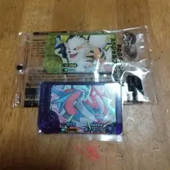 ポケモンフレンダ スーパートレジャー ２枚セット
