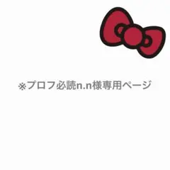 ⭐︎匿名配送⭐︎※プロフ必読n.n様専用