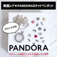 poko様専用】ご購入ページ PANDORA リクエストチャーム 6点 - メルカリ