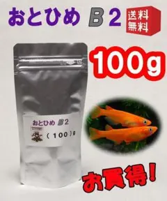 たつぽん様 リクエスト 2点 まとめ商品