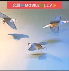 Item thumbnail for item e67d19d9-4ca5-4e61-8283-1e2755e9f1df