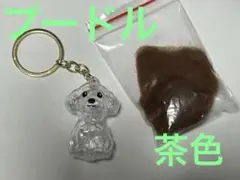 うちの子のけだまだま風　トイプードル　茶色