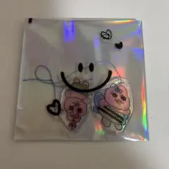 んぽちゃむ　キーホルダー