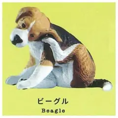 Item thumbnail for item 0ac66757-6d97-4cb4-b5d6-7dd0d5202267