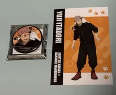 呪術廻戦 まねきねこ 缶バッジ ポストカード