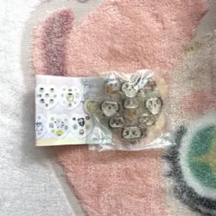 ちいかわ シーサー PUKUCHURU ぷくちゅる シール　リーフレット付き