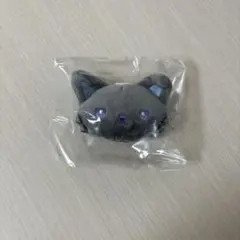 JOCHUM シークレットブローチ ピーハイ