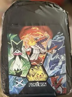 【お買い得‼️匿名発送】ポケモン　リュック　ブラック