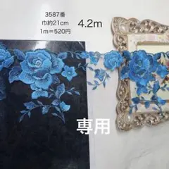 専用ページ・追加・チュールレース