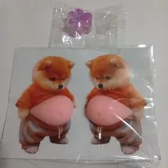 柴犬　ぷにぷに　シール　スクイーズ　お腹　ぽっこり　肉球　おなかぷにぷに