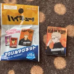 ハイキュー　アクリルマグネット　月島