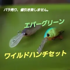 エバーグリーン ワイルドハンチ セットのサムネイル