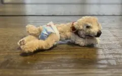 Item thumbnail for item ceaab236-a3a5-4ffb-9744-443d2fa5991c