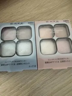 ケイト　ポッピングシルエットシャドウ　ex-4 ex-5