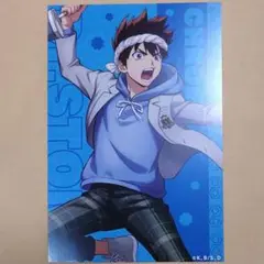 Dr.STONE クロム ポストカード 文化祭 イーディス