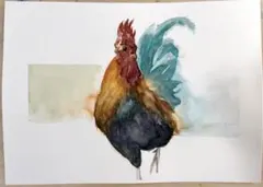 水彩画 にわとり 原画
