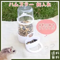 Item thumbnail for item 6fbdd2fb-8e6e-4cfd-b59e-bf137dcb6ba7