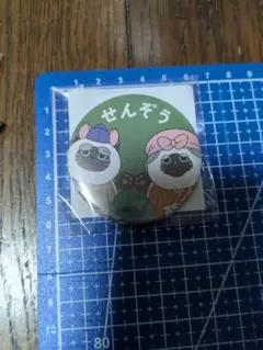 忍たま乱太郎　立花仙蔵　せんぞう　ナンジャタウン　缶バッジ